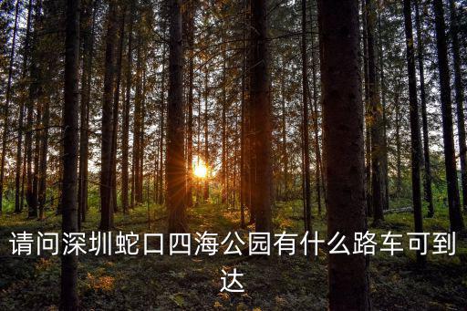 請問深圳蛇口四海公園有什么路車可到達