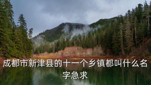 成都市新津縣的十一個(gè)鄉(xiāng)鎮(zhèn)都叫什么名字急求