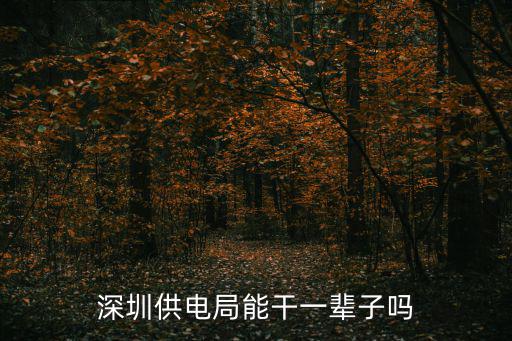 深圳供電局能干一輩子嗎