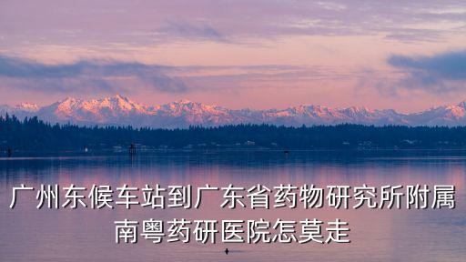 廣州東候車站到廣東省藥物研究所附屬南粵藥研醫院怎莫走