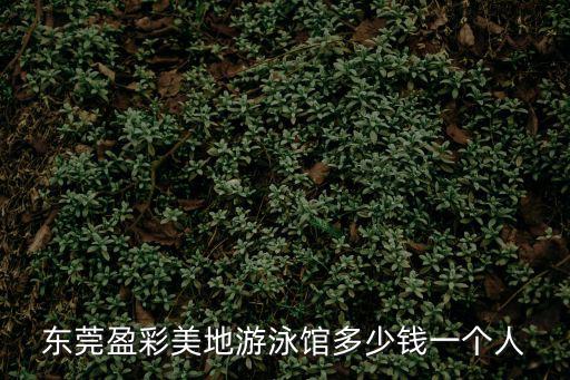 東莞盈彩美地游泳館多少錢一個人