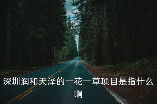 深圳潤和天澤的一花一草項目是指什么啊