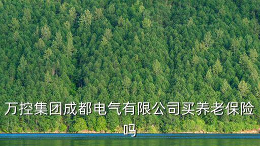 萬控集團成都電氣有限公司買養老保險嗎