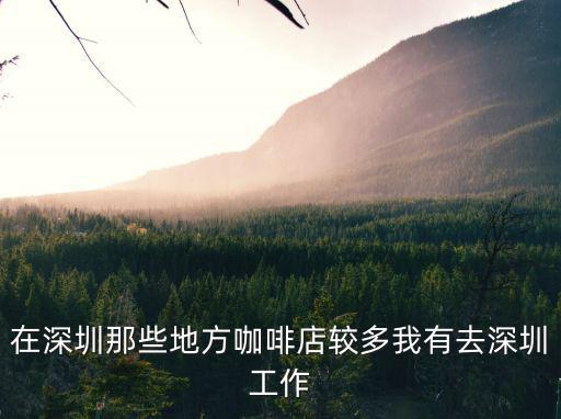在深圳那些地方咖啡店較多我有去深圳工作