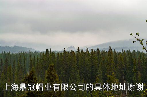 上海市閔行區浦江鎮勤勞村，上海鼎冠帽業有限公司的具體地址謝謝