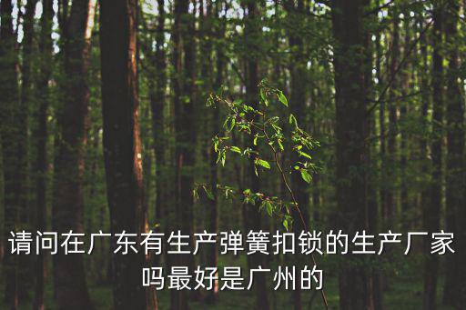 請問在廣東有生產(chǎn)彈簧扣鎖的生產(chǎn)廠家嗎最好是廣州的