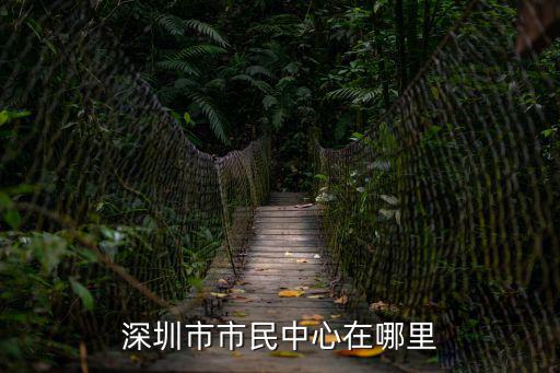 深圳市市民中心在哪里