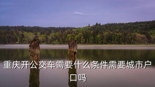 重慶市公交局戶籍，重慶開公交車需要什么條件需要城市戶口嗎