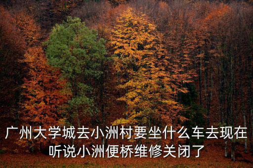 廣州大學城去小洲村要坐什么車去現在聽說小洲便橋維修關閉了