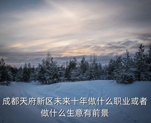 成都天府新區(qū)未來(lái)十年做什么職業(yè)或者做什么生意有前景