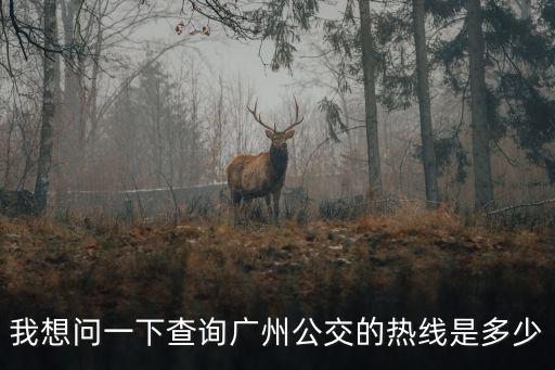 我想問一下查詢廣州公交的熱線是多少
