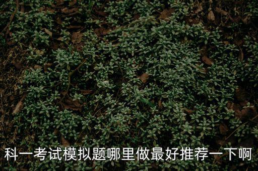 東莞科目一考試模擬題，科一考試模擬題哪里做最好推薦一下啊