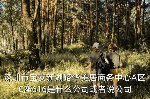 深圳市寶安新湖路華美居商務中心A區C座616是什么公司或者說公司