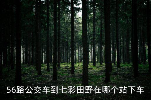 56路公交車到七彩田野在哪個站下車