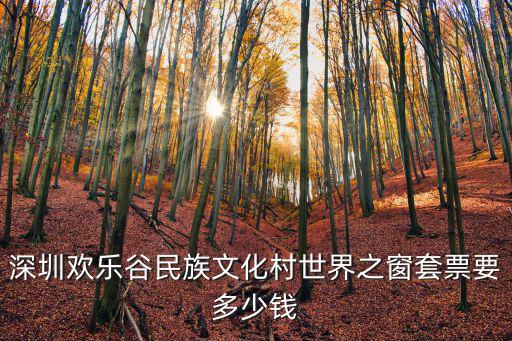 深圳歡樂谷民族文化村世界之窗套票要多少錢