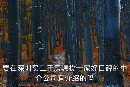 要在深圳買二手房想找一家好口碑的中介公司有介紹的嗎