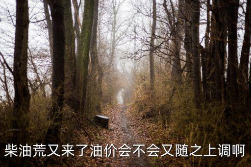 東莞百安油庫(kù)，東莞百安石化倉(cāng)儲(chǔ)有限公司具體位置