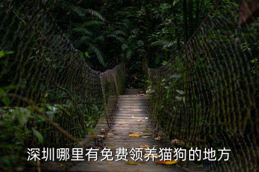 深圳哪里有免費(fèi)領(lǐng)養(yǎng)貓狗的地方