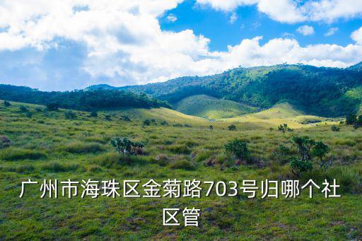 廣州市海珠區金菊路703號歸哪個社區管
