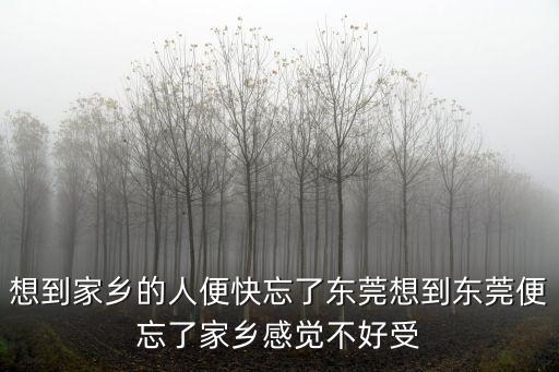 想到家鄉的人便快忘了東莞想到東莞便忘了家鄉感覺不好受