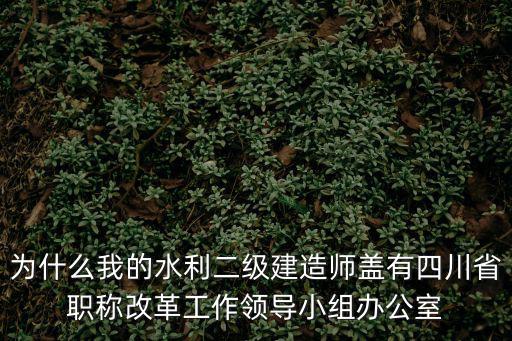 為什么我的水利二級建造師蓋有四川省職稱改革工作領導小組辦公室