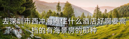 去深圳市西沖海灘住什么酒店好啊要高檔的有海景房的那種