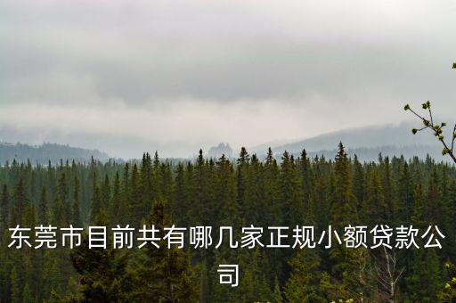 東莞市東大小額貸款有限公司，東莞市目前共有哪幾家正規小額貸款公司
