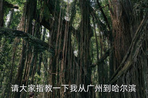 請(qǐng)大家指教一下我從廣州到哈爾濱