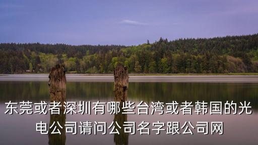 東莞或者深圳有哪些臺灣或者韓國的光電公司請問公司名字跟公司網(wǎng)