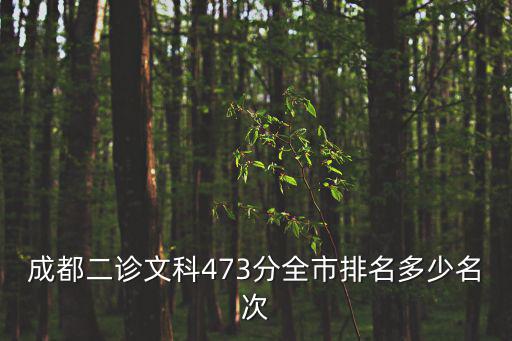 成都二診文科473分全市排名多少名次