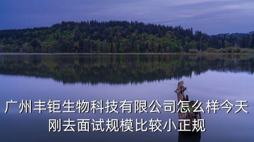 廣州豐鉅生物科技有限公司怎么樣今天剛?cè)ッ嬖囈?guī)模比較小正規(guī)