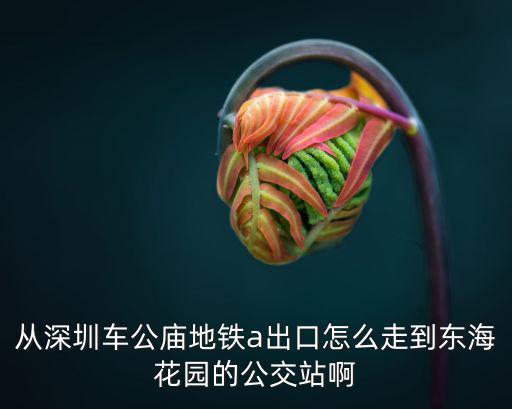 深圳東海花園，深圳福田東海花園到寶安海雅大劇院怎么走