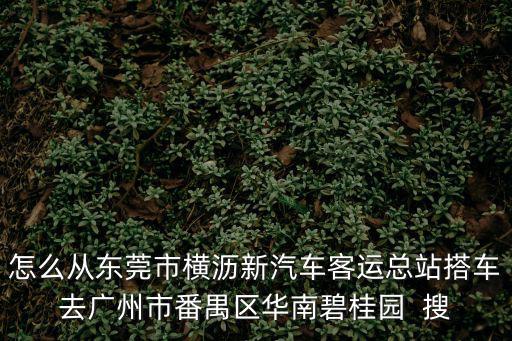 東莞碧桂園新，碧桂圓鳳凰城是不是在新塘