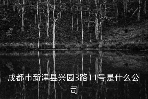 成都市新津縣興園3路11號(hào)是什么公司