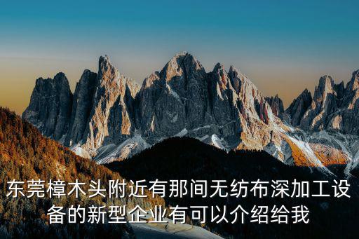 東莞樟木頭附近有那間無紡布深加工設(shè)備的新型企業(yè)有可以介紹給我