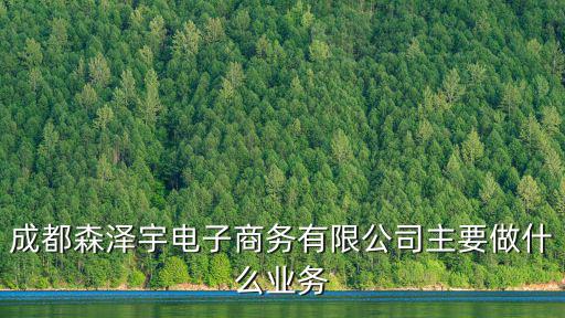 成都森澤宇電子商務有限公司主要做什么業務
