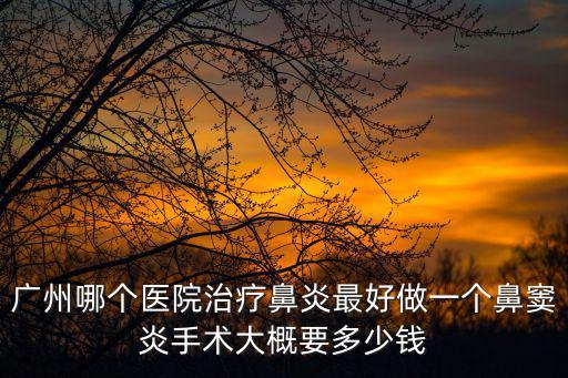 廣州哪個醫(yī)院治療鼻炎最好做一個鼻竇炎手術(shù)大概要多少錢