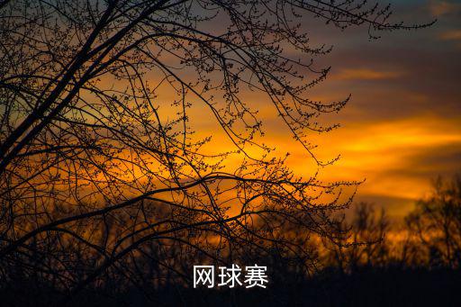 網球賽