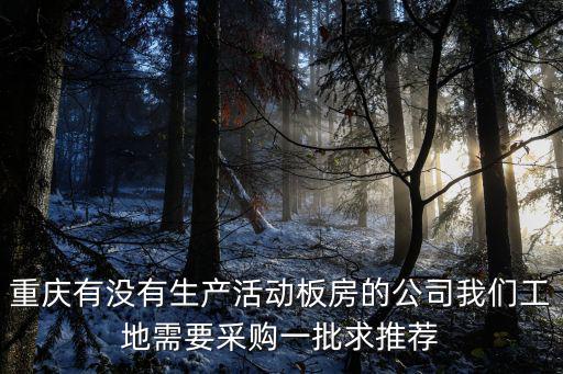 重慶有沒(méi)有生產(chǎn)活動(dòng)板房的公司我們工地需要采購(gòu)一批求推薦