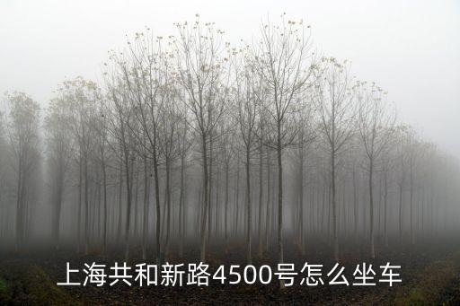 上海市共和新路4500，上海共和新路4500號怎么坐車