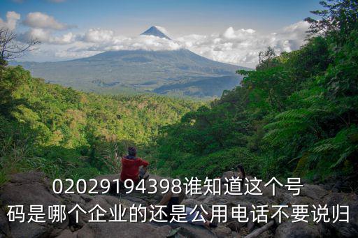 02029194398誰知道這個號碼是哪個企業的還是公用電話不要說歸