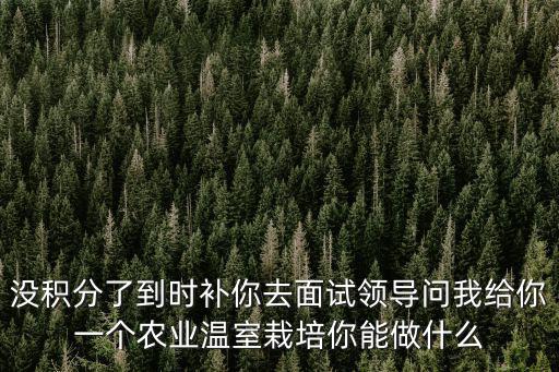 沒積分了到時補(bǔ)你去面試領(lǐng)導(dǎo)問我給你一個農(nóng)業(yè)溫室栽培你能做什么