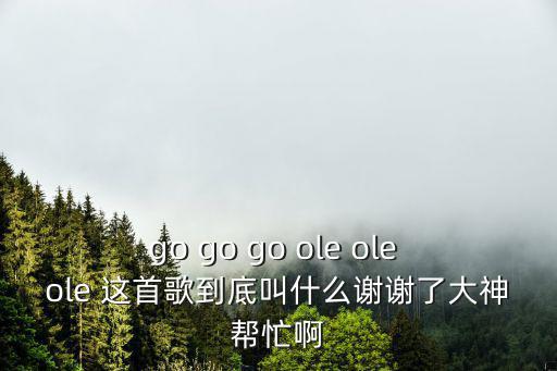 go go go ole ole ole 這首歌到底叫什么謝謝了大神幫忙啊