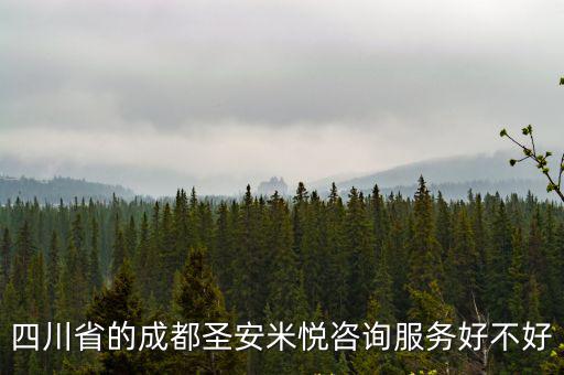四川省的成都圣安米悅咨詢服務好不好