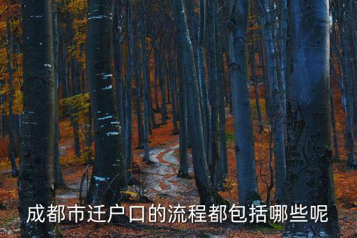 成都市辦戶口遷入流程，成都遷戶口流程