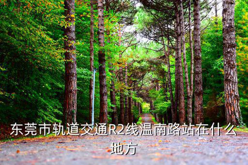 東莞市軌道交通R2線溫南路站在什么地方