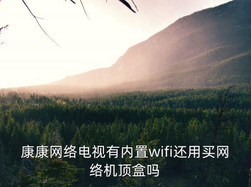 康康網(wǎng)絡(luò)電視有內(nèi)置wifi還用買網(wǎng)絡(luò)機(jī)頂盒嗎