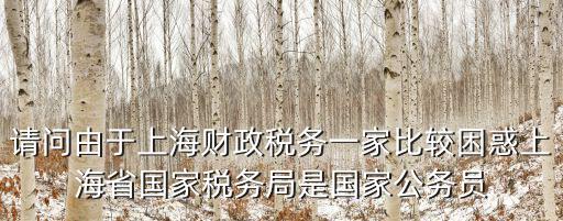 請問由于上海財政稅務一家比較困惑上海省國家稅務局是國家公務員