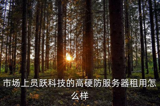 市場(chǎng)上員躍科技的高硬防服務(wù)器租用怎么樣