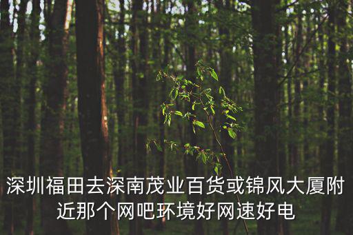 深圳福田去深南茂業百貨或錦風大廈附近那個網吧環境好網速好電